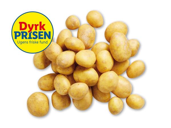 Lammefjordskartofler