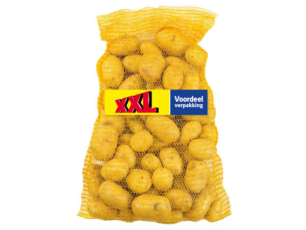 Pommes de terre XXL