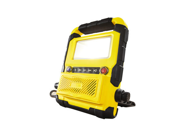 LED Light with Bluetooth Speaker