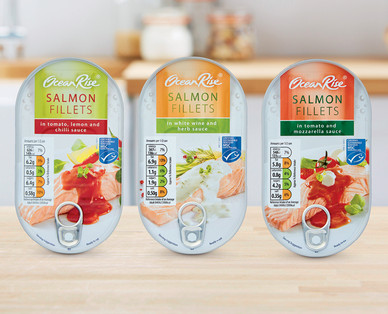 Salmon Fillets