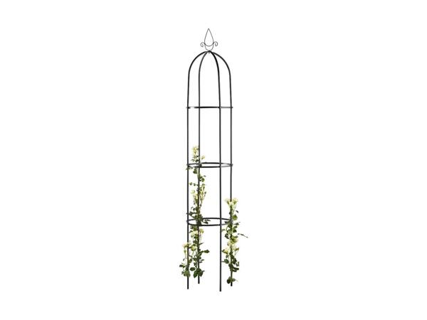 LIVARNO HOME(R) Rosenbue eller espalier