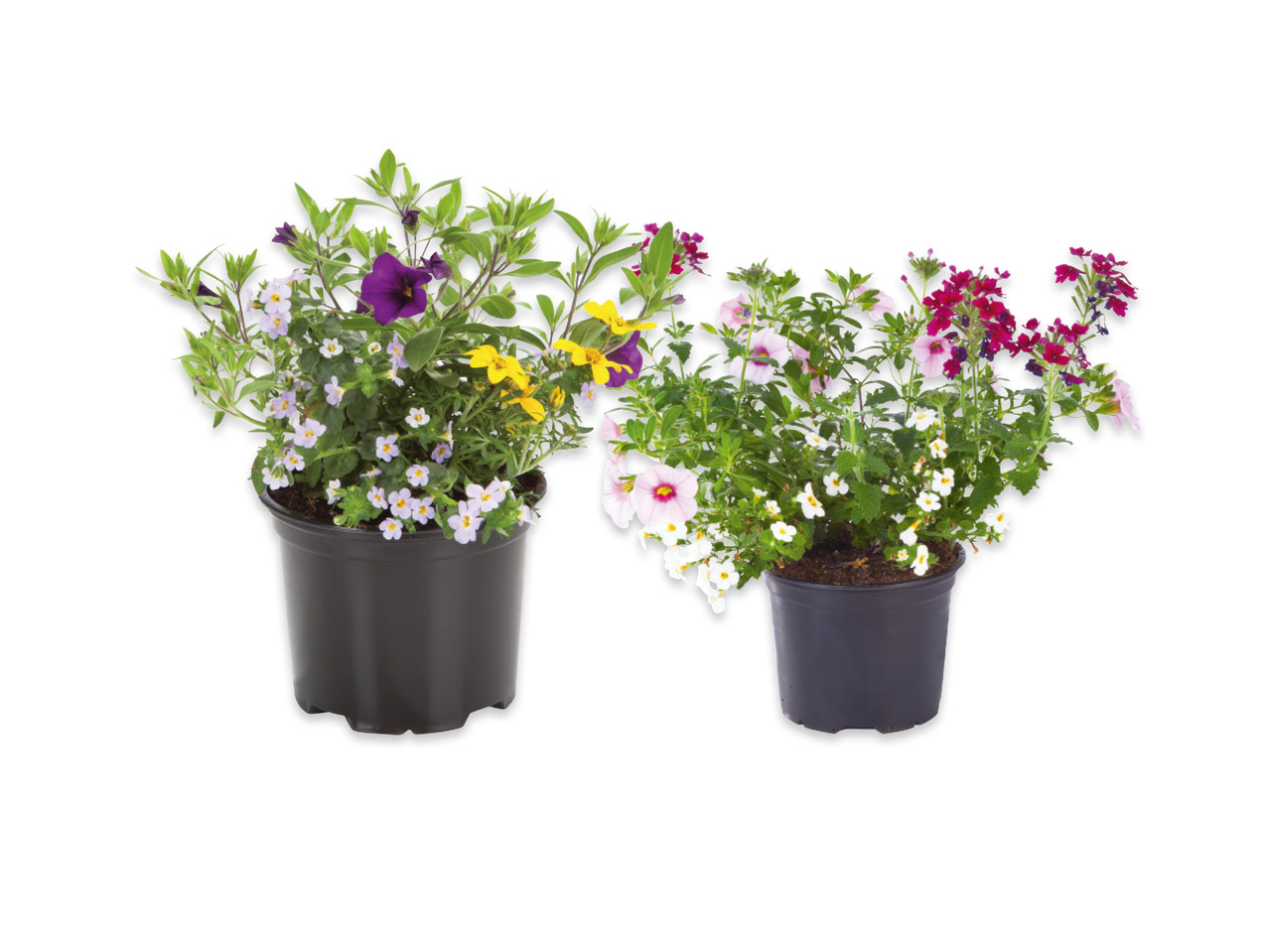Blomtrio