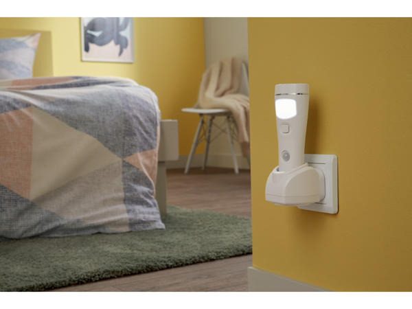 LED Multifunction Light