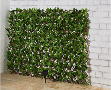 Expanding Artificial Screening with Solar LED Fairy Lights