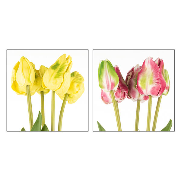 Deko-Papageien-Tulpen 5er