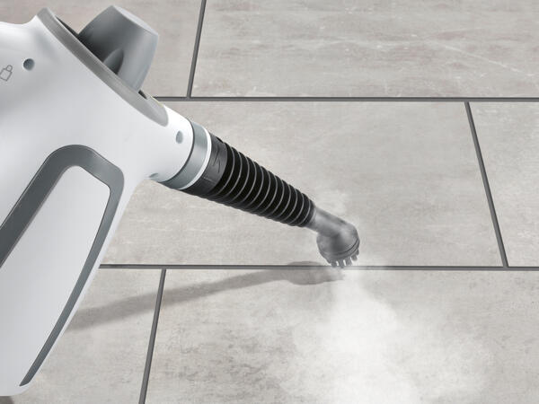 Hand-Held Steam Cleaner