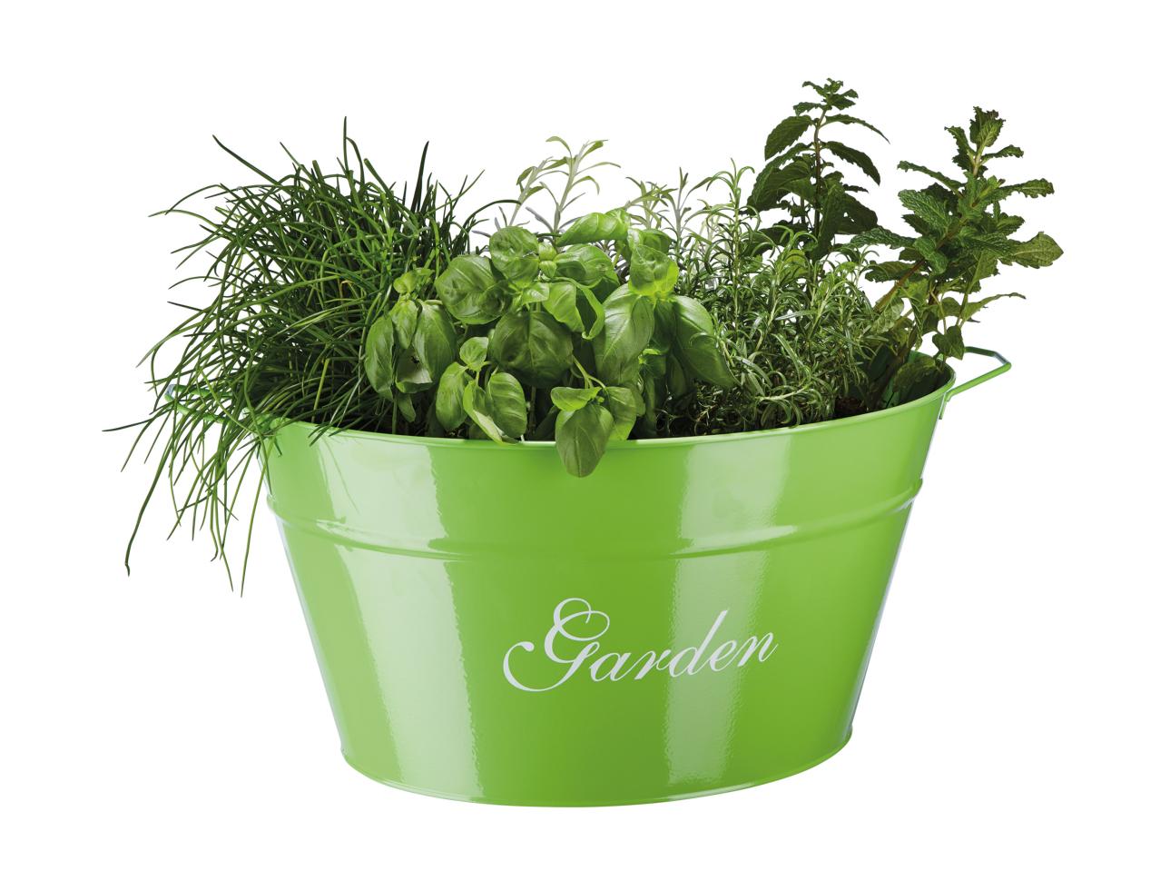 Florabest Metal Bucket1