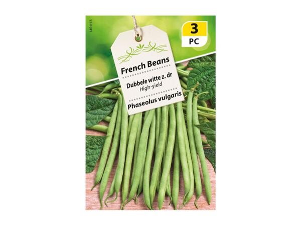 French Beans Seeds