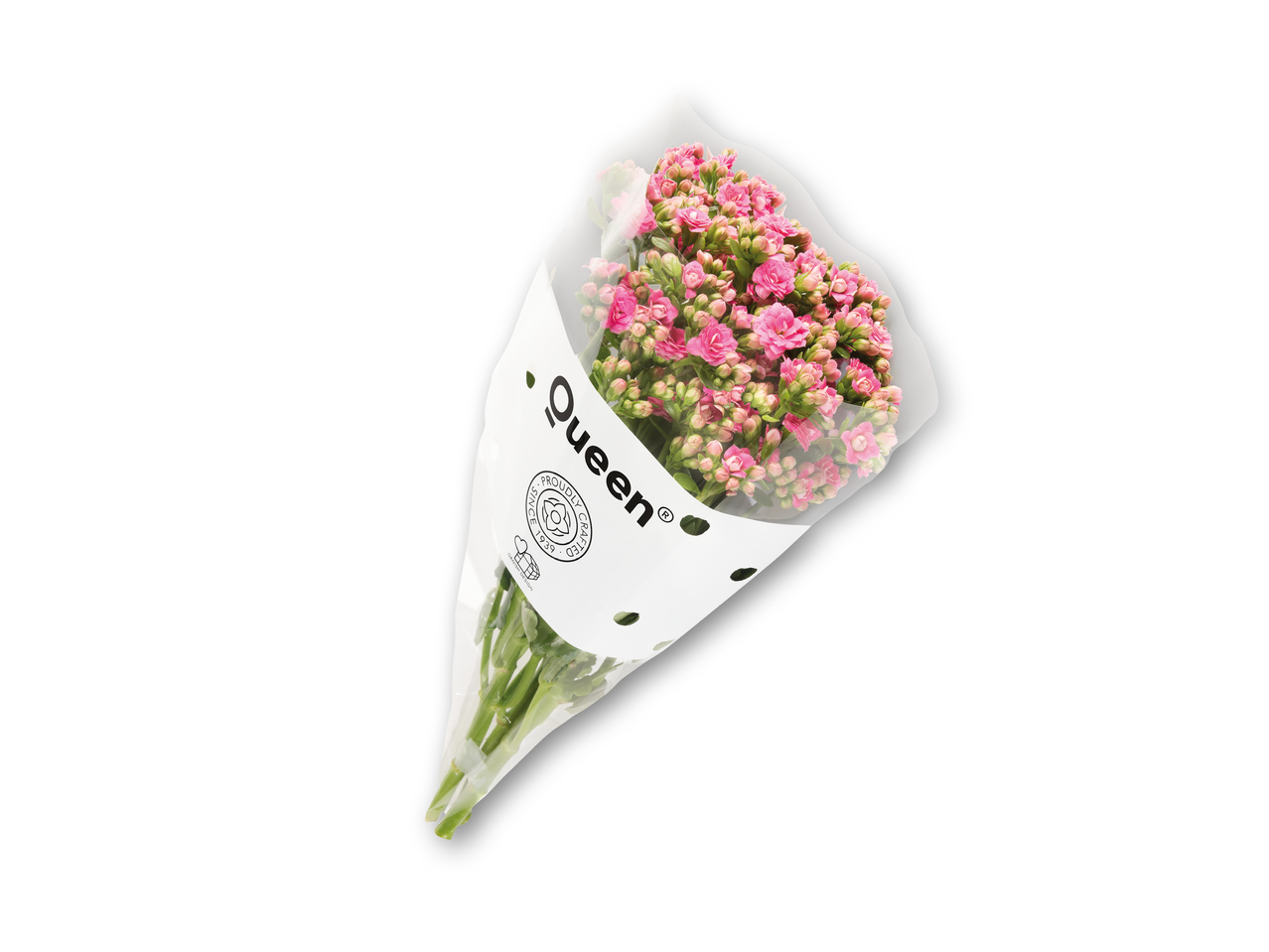 Kalanchoe-buket