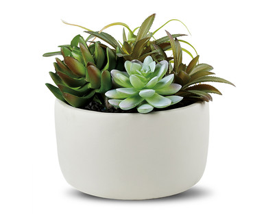 Huntington Home Faux Succulent or Plant Assortment