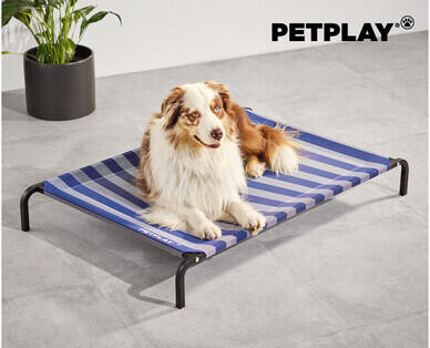 Elevated Pet Bed