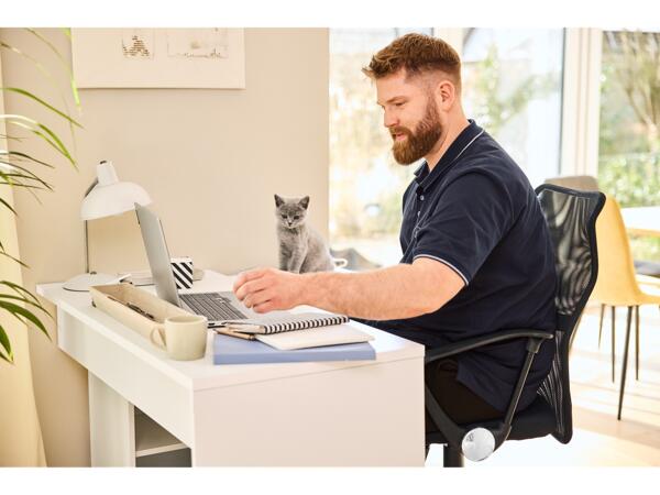 Desk Chair