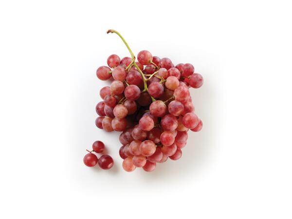 Red Globe Grapes