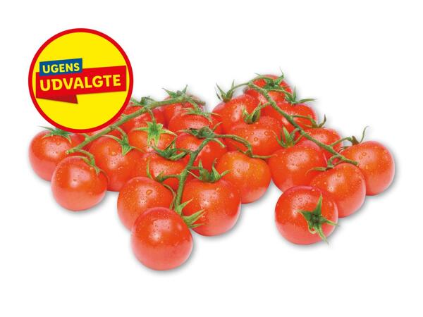 Cherrytomater på stilk