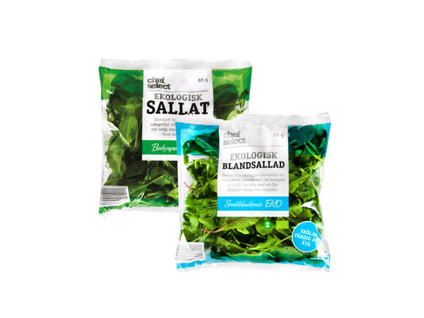 Ekologisk sallad