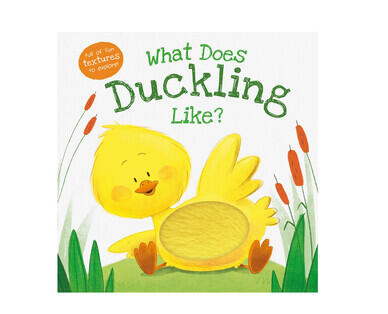Novelty Board Books
