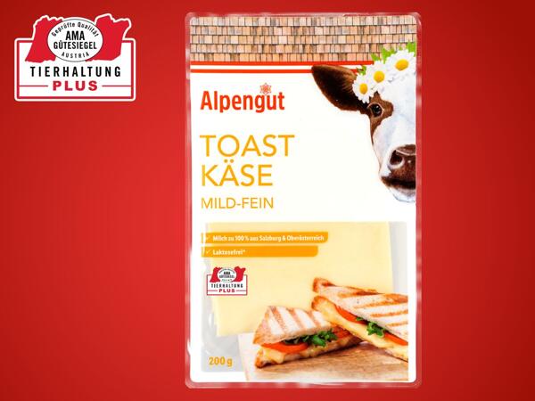 Toastkäse in Scheiben