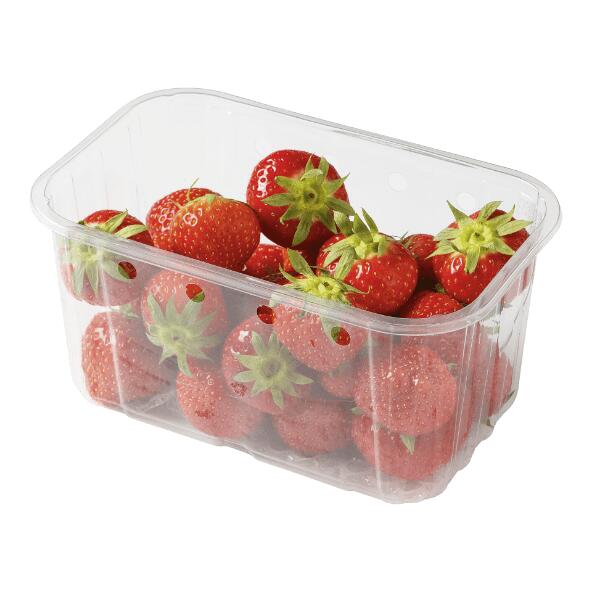 Erdbeeren