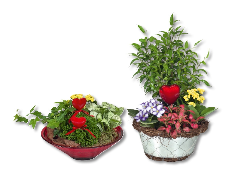 Composition florale de la fête des mères dans une coupelle