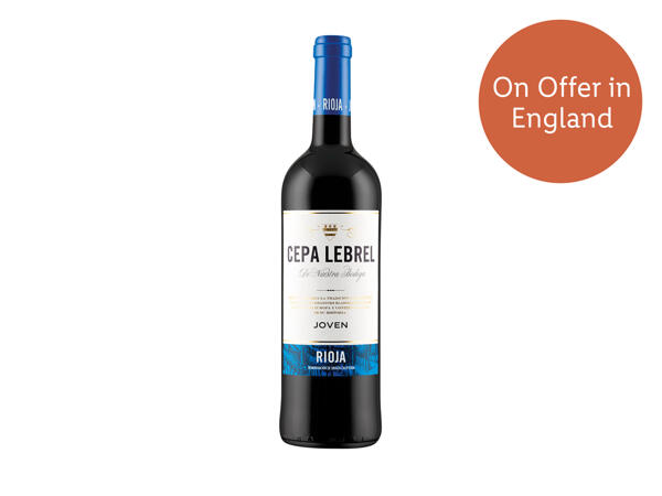 Spanish Rioja Joven