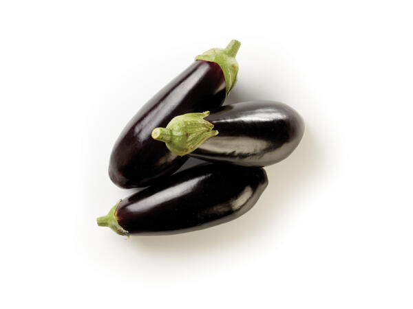 Aubergine