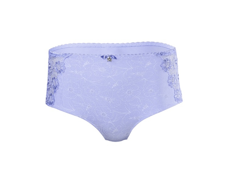 Ladies' Control Briefs