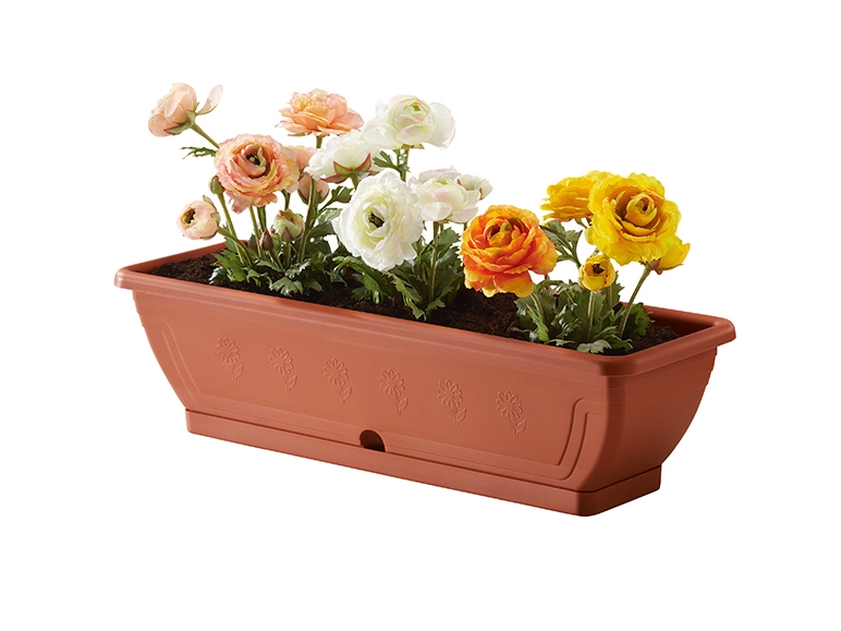 Pot de fleurs