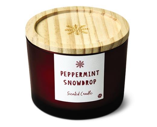 Huntington Home 
 Frosted Glass Candle