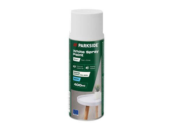 Parkside Spray Paint