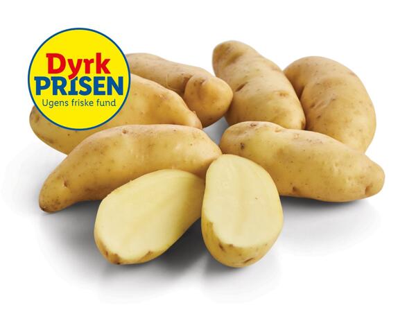 Lammefjordsaspargeskartofler