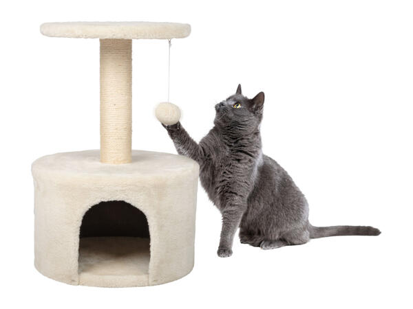 Zoofari Cat Scratching Post