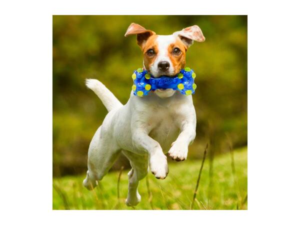 Nerf Dog LED Bubble Toys LED Bone