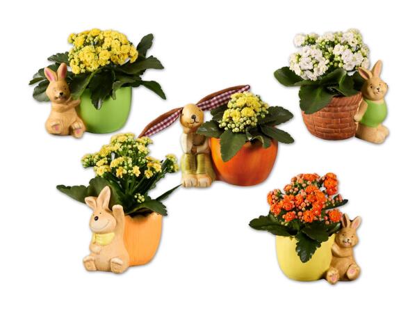 Keramikosterhase