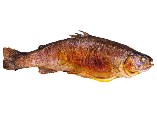 Frischer Lachs