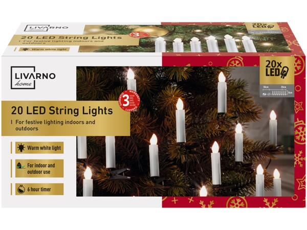 20 LED String Lights