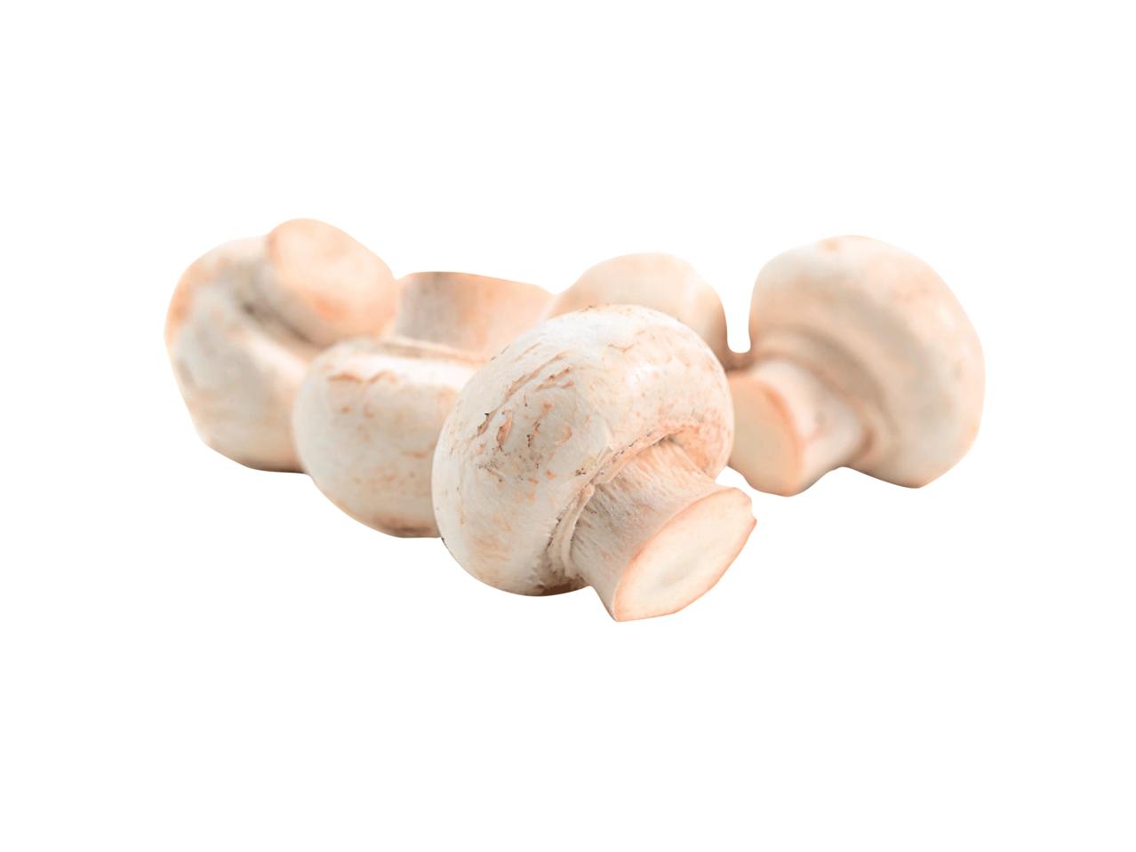 Irish Mushrooms
