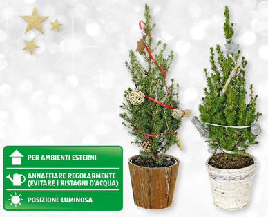 Alberelli di Natale decorati