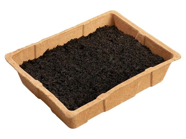 Organic propagation kit