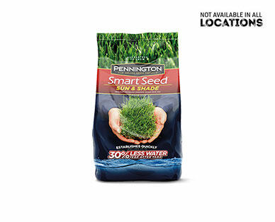 PENNINGTON Smart Seed Sun & Shade Mix