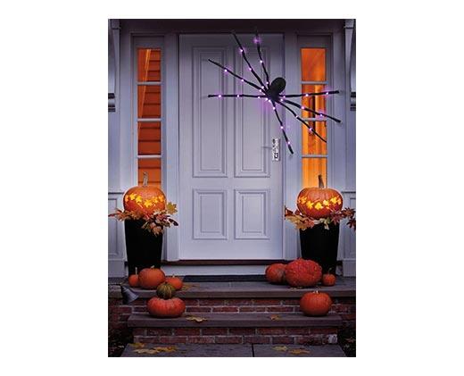 Huntington Home 5' Spider