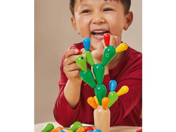 Wooden Shape Toy