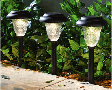 Solar Bollard Light 