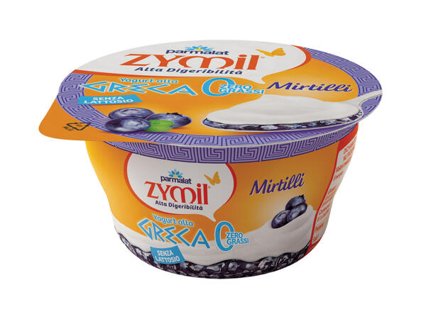 Lactose Free Greek Natural Yoghurt or Greek Blueberry Yoghurt