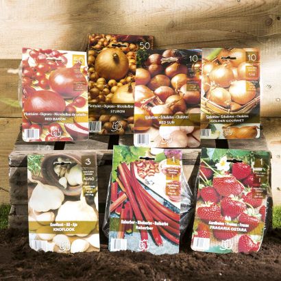 Saatset für Gemüse oder Obst