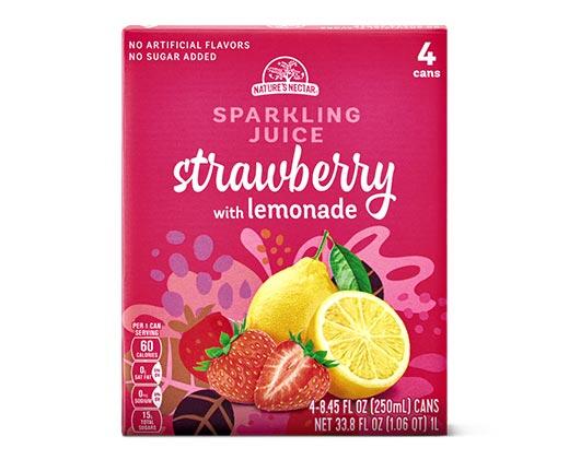 Nature's Nectar
Sparkling Strawberry 4-Pack Assorted Varieties