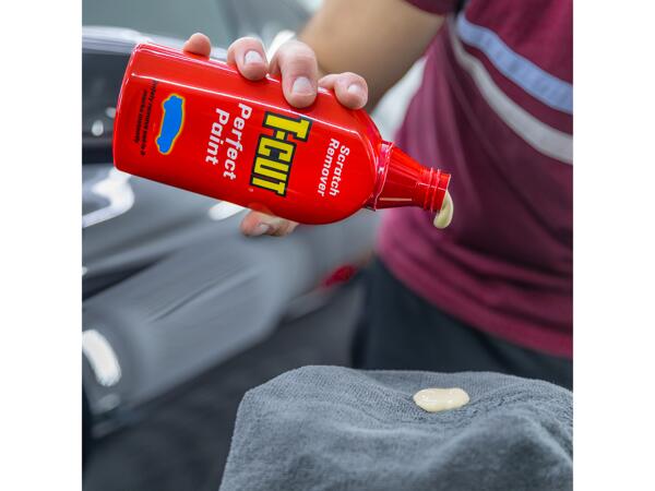 T-Cut Perfect Paint