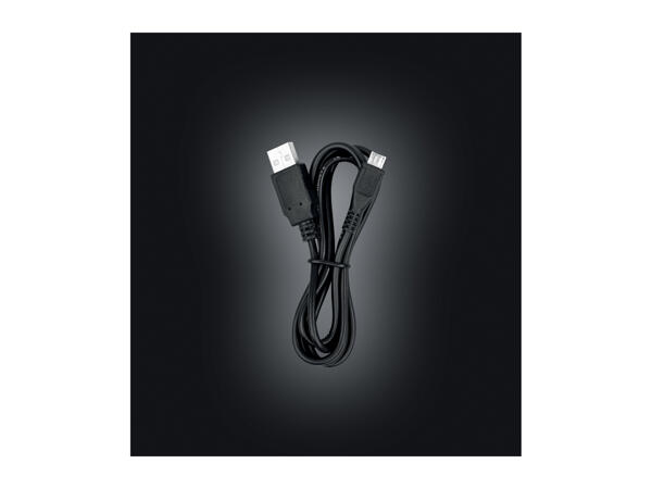 Parkside LED Work Light with Power Bank
