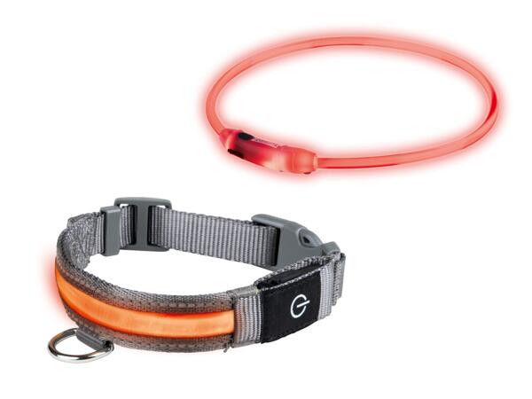 Collier pour chien lumineux à LED/​collier pour chien à LED