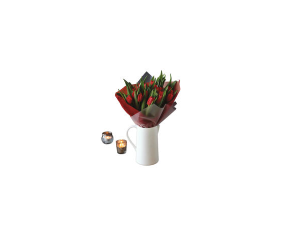 Valentine's Tulips