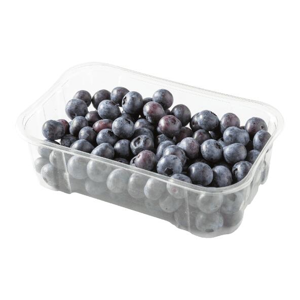 Heidelbeeren